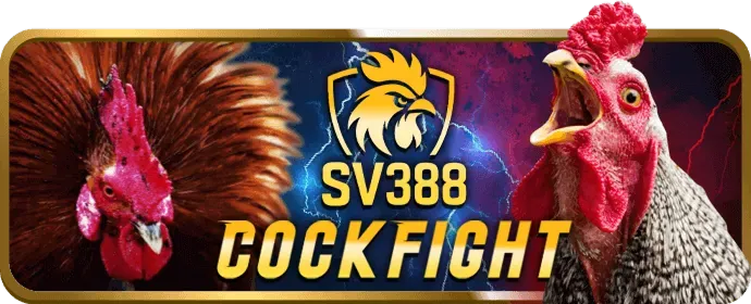 Xác nhận đăng ký v7sb