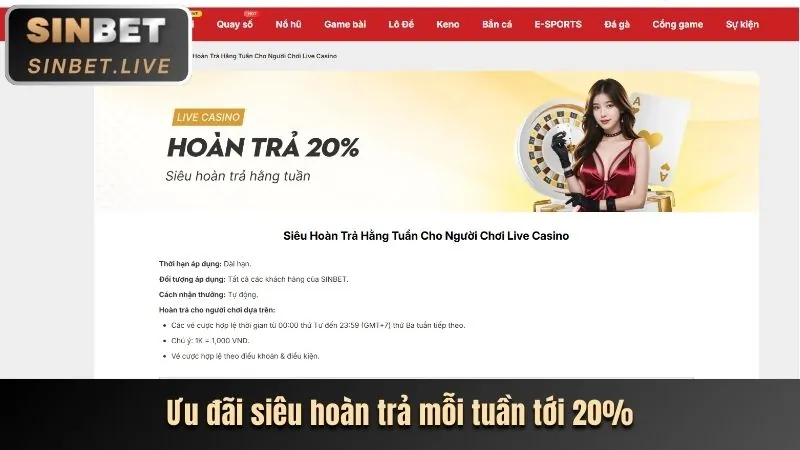 Các chương trình khuyến mãi độc quyền dành cho thành viên v7sb code